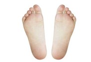 piedi