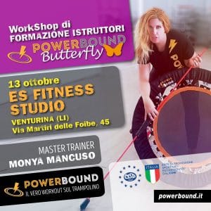 es studio butterfly